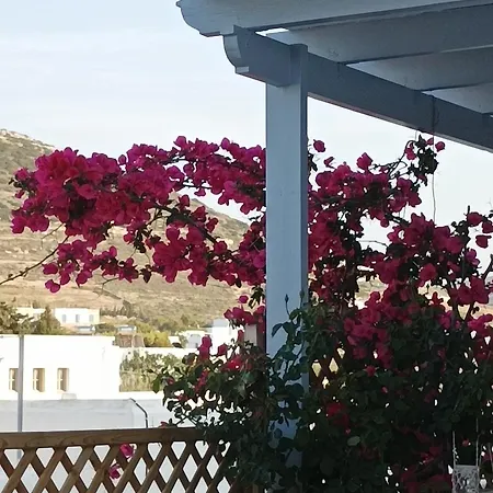 Nektarias ناوسا