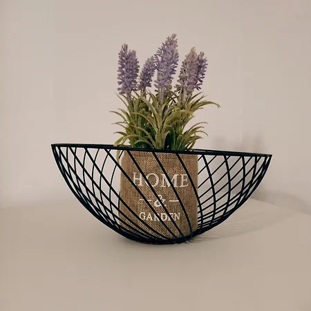 Nektarias Appartement *