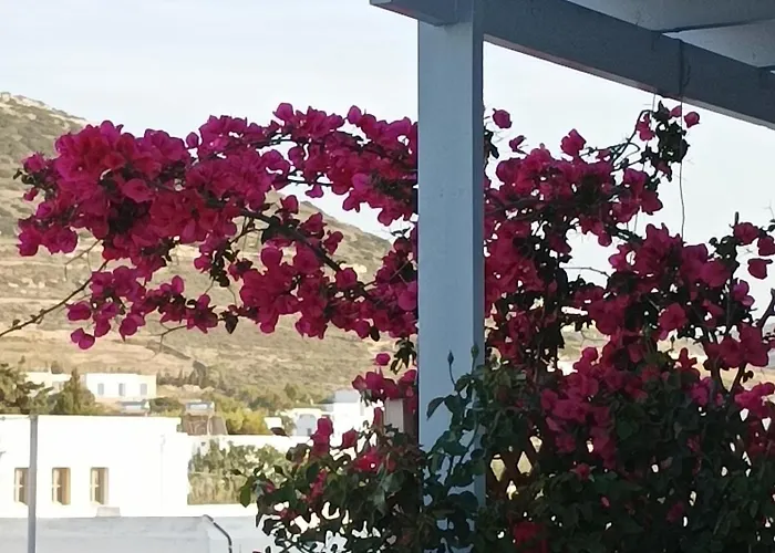 Nektarias No2 ناوسا